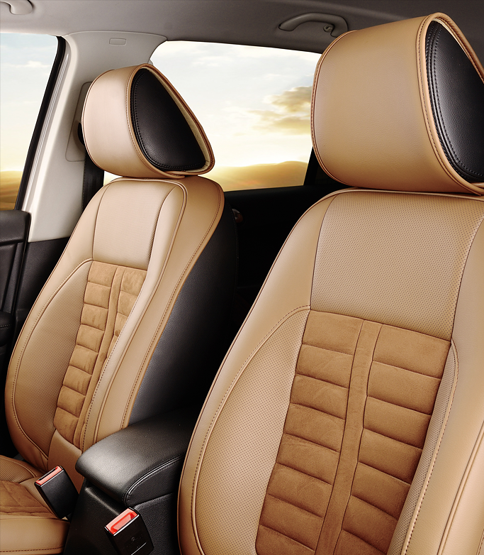 Luxurious limousine interior